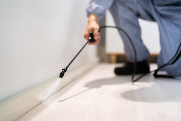 Bed Bug Pre-Treatment Preparation Assessment in Weaverville