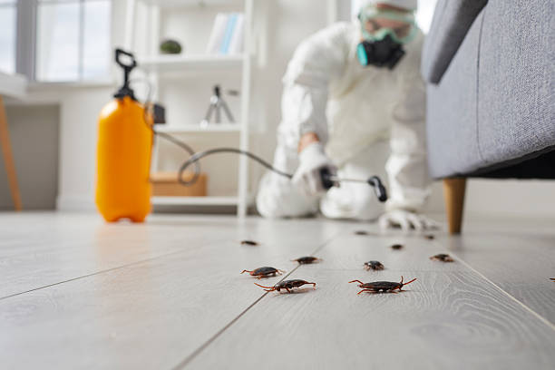 Post-Treatment Bed Bug Interceptor Monitoring in Weaverville