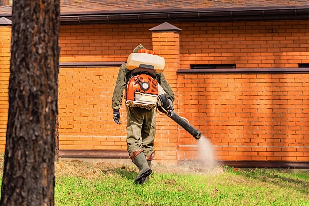 Bed Bug Clearance Verification and Documentation in Weaverville